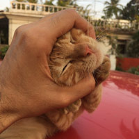 Porange profile pic